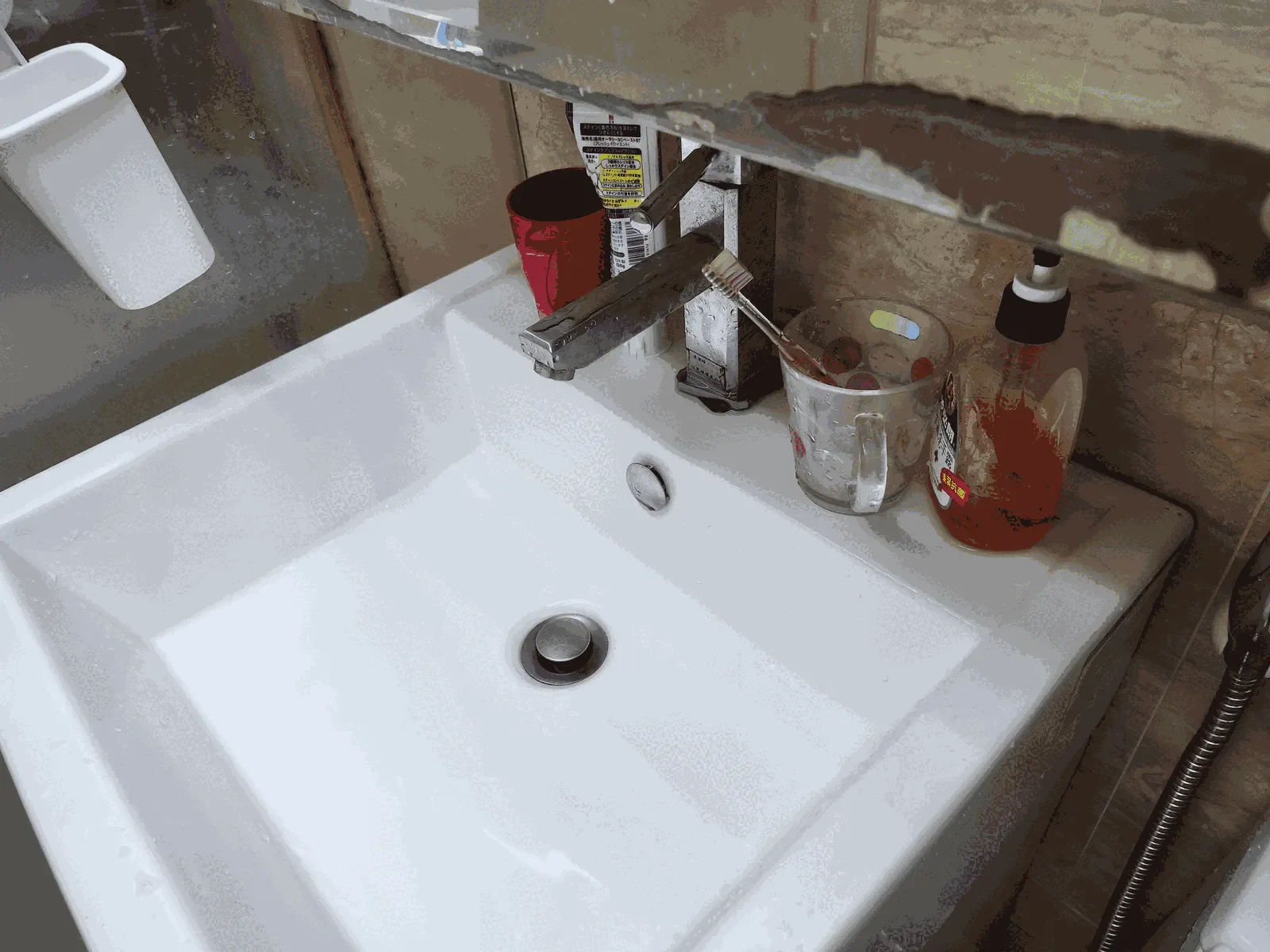 牙刷的不在場證明_照片